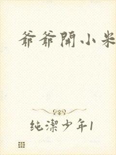 爷爷开小米的包