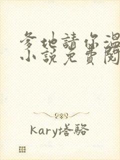 爹地请你温柔点小说免费阅读