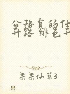 公务员的仕途上升路 绯色升迁