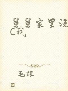 舅舅家里没人快C我