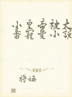 小皇帝被大臣轮番宠爱小说