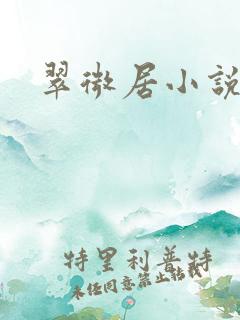 翠微居小说