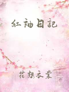 红袖日记