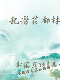 龙潜花都林逸