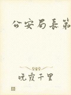 公安局长第四部