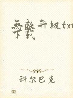 无敌升级txt下载
