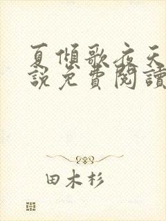 夏倾歌夜天承小说免费阅读