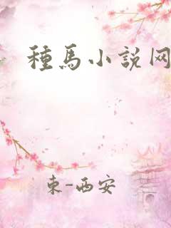 种马小说网