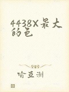 4438X最大的色