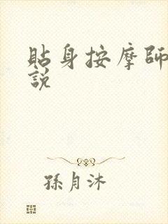 贴身按摩师 小说