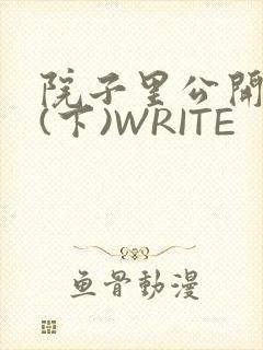 院子里公开惩戒(下)WRITE