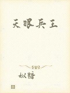 天眼兵王