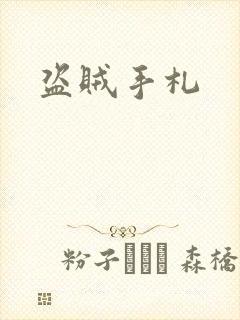 盗贼手札