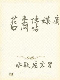 花季传媒广告入口网站