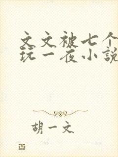 文文被七个男人玩一夜小说