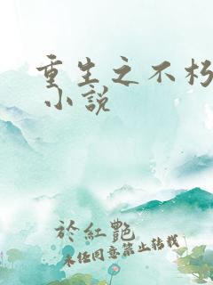 重生之不朽传奇 小说