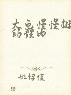 大龟慢慢挺进我的体内