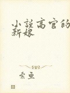 小说高官的暗夜新娘