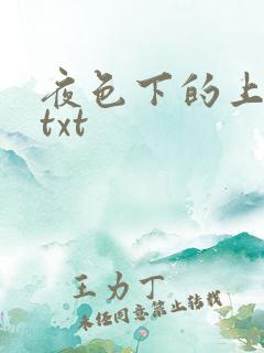 夜色下的上海滩txt