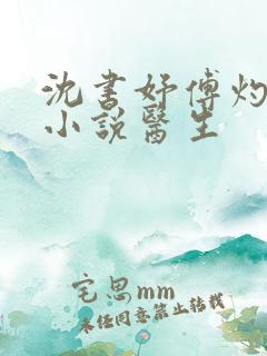 沈书妤傅灼抖音小说医生