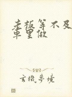 老板等不及了在车里做