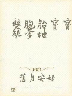 双胞胎宝宝的总统爹地