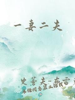 一妻二夫