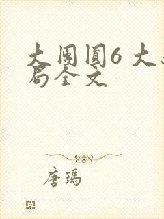 大团圆6 大结局全文