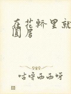 在花轿里就开始圆房