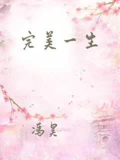 完美一生