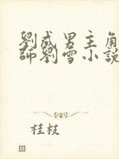 刘成男主角按摩师刘雪小说免费阅读