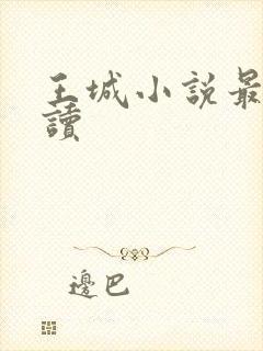 王城小说最近阅读