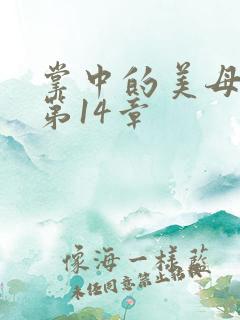 掌中的美母版主第14章