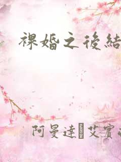 裸婚之后结局