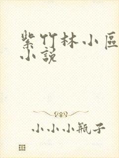 紫竹林小区快递小说