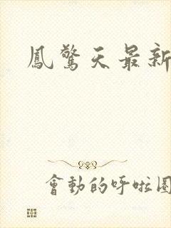 凤惊天最新章节