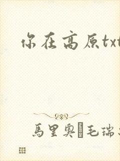 你在高原txt
