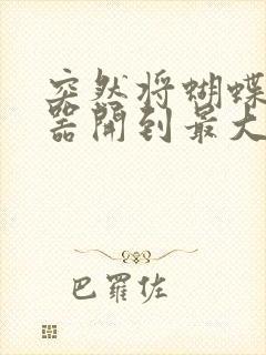 突然将蝴蝶遥控器开到最大