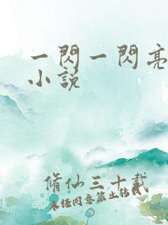 一闪一闪亮星星小说