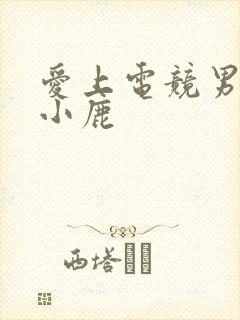 爱上电竞男神林小鹿