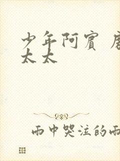 少年阿宾 房东太太