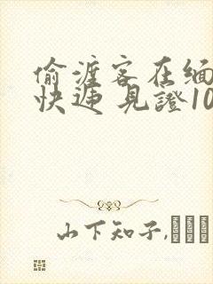 偷渡客在缅北送快递 见证100种逃亡