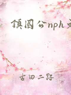 镇国公nph文