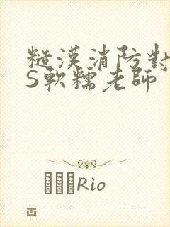 糙汉消防对长VS软糯老师