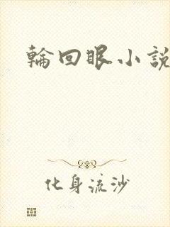 轮回眼小说