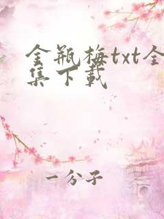 金瓶梅txt全集下载