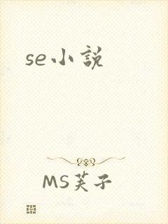 se小说