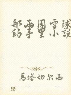 那两团雪球在他的手里小说