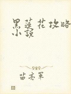 黑莲花攻略手册小说