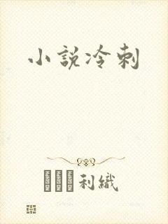 小说冷刺